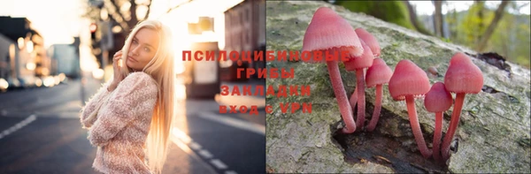 дурь Осинники