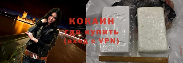 шишки Нягань