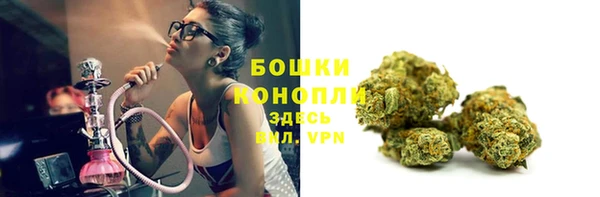 шишки Нягань