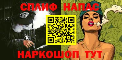 стафф Донской