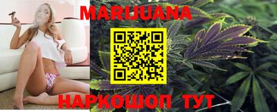 стафф Донской