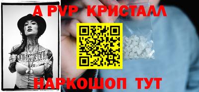 стафф Донской