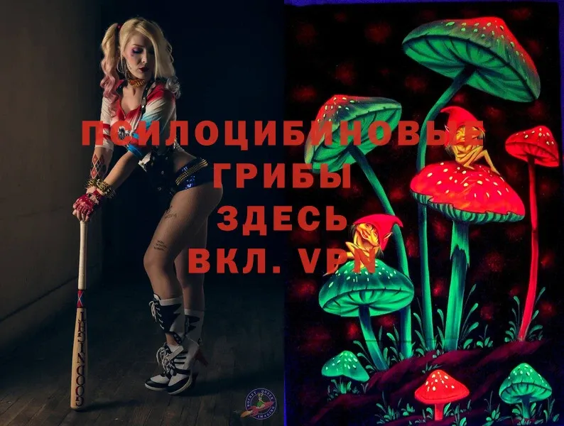 MEGA сайт  купить закладку  Ялуторовск  Галлюциногенные грибы MAGIC MUSHROOMS 