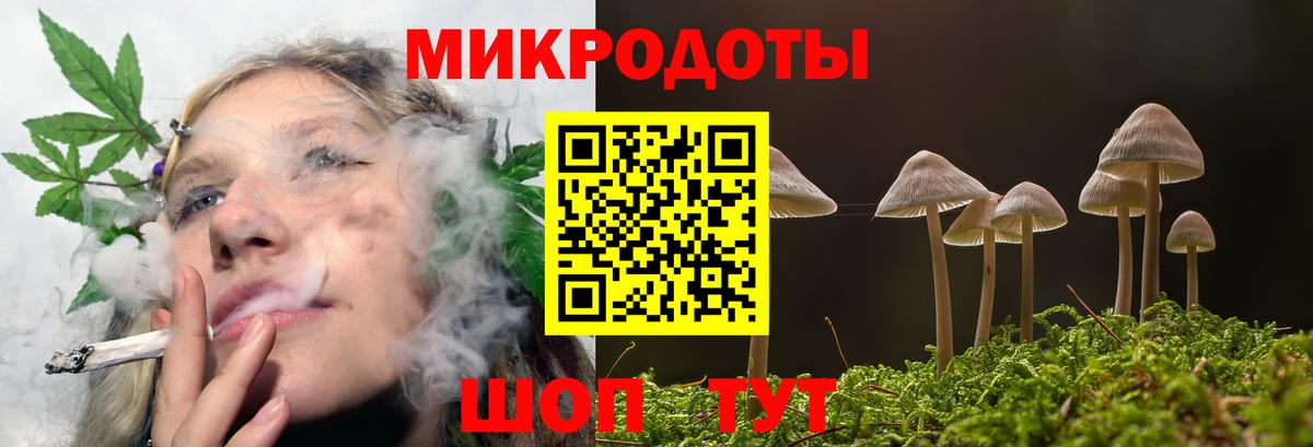 Ялуторовск  Псилоцибиновые грибы MAGIC MUSHROOMS  Вход с VPN 